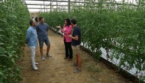 Almería mostrará en Fruit Attraction la innovación de sus empresas agrícolas
