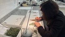 El Banco de Germoplasma Vegetal Andaluz garantiza el futuro de la flora