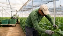 La prevención de riesgos laborales, clave para mejorar la gestión de las explotaciones agrícolas