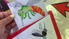 Andaluc&iacute;a refuerza la prevenci&oacute;n contra la fiebre del Nilo occidental