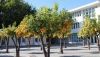 La UAL suma m&aacute;steres propios y cursos de especialista y experto