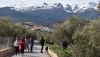 ABRUCENA: El VI Homenaje al Olivo destaca el paisaje del olivar y los aceites de calidad