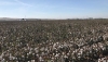 18,4 millones en ayudas para la contrataci&oacute;n de seguros agrarios en Andaluc&iacute;a