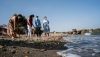 Almer&iacute;a estrena en el Bobar la playa para perros m&aacute;s grande de la provincia