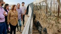 La Junta abon&oacute; en 2021 cerca de 12 millones en ayudas para la contrataci&oacute;n de seguros agrarios