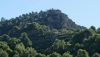 Andaluc&iacute;a impulsa la gesti&oacute;n forestal activa para conservar el patrimonio natural