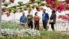 El vivero de Almer&iacute;a ser&aacute; un centro productor de plantas aut&oacute;ctonas