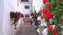 LUCAINENA DE LAS TORRES: D&iacute;a de las Flores, una fiesta para disfrutar en familia