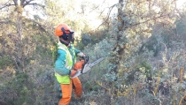 El Parque Natural Sierra Mar&iacute;a-Los V&eacute;lez logra hacer frente a la sequ&iacute;a