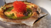 La pr&oacute;xima 'Macenas Blue Nights' estar&aacute; dedicada a los productos de 'Sabores Almer&iacute;a'