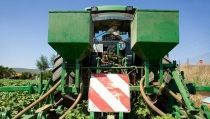 Andaluc&iacute;a lanza nuevas ayudas para impulsar el relevo generacional en el campo