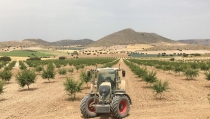 M&aacute;s de 6.500 productores almerienses pueden solicitar ya las ayudas de la PAC