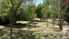 Dal&iacute;as lleva a cabo trabajos de limpieza en el parque Arroyo de Cel&iacute;n