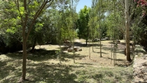 Dal&iacute;as lleva a cabo trabajos de limpieza en el parque Arroyo de Cel&iacute;n