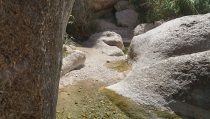Piden medidas urgentes para que no desaparezca el Manantial de Los Molinos