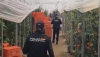 Dos empresarios detenidos por atentar contra los derechos de los trabajadores