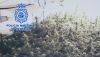 Encuentran 105 kilos de marihuana en el interior de una vivienda de El Ejido