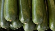 ASAJA Almer&iacute;a denuncia la brusca ca&iacute;da de los precios de calabac&iacute;n, pepino y berenjena