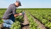 Andaluc&iacute;a destina 5 millones a una l&iacute;nea de ayudas a la agricultura de precisi&oacute;n