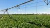 Convocan ayudas para la mejora energ&eacute;tica de explotaciones agropecuarias