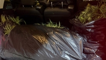 Interceptan una furgoneta en El Puche con m&aacute;s de 175 kilos de marihuana
