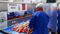 La Junta en Almer&iacute;a visitar&aacute; 421 empresas para comprobar la seguridad laboral