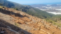 Andaluc&iacute;a invierte cerca de 8,8 millones en la Red Natura 2000 de Almer&iacute;a