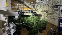 Desmantelan un edificio dedicado al cultivo y tr&aacute;fico de drogas en Terque