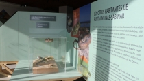 El Centro de Interpretaci&oacute;n de Punta Entinas Sabinar recibe a mil estudiantes
