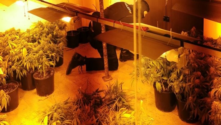 Diez detenidos en Almer&iacute;a por cultivar marihuana en sus viviendas