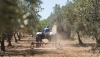 El cooperativismo andaluz pide reforzar la posici&oacute;n del productor