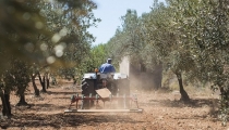 El cooperativismo andaluz pide reforzar la posici&oacute;n del productor