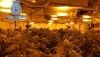 Detienen al responsable de una plantaci&oacute;n 'indoor' de marihuana en El Ejido