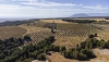 AlVelAl presentar&aacute; en Biofach los primeros productos con certificado ecoregenerativo