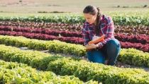 Andaluc&iacute;a renueva el plan de igualdad en el sector agrario, pesquero y medioambiental