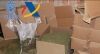 Macro operaci&oacute;n contra el tr&aacute;fico de marihuana en Almer&iacute;a y Granada