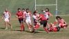 El Uni&oacute;n Rugby Almer&iacute;a arranca con victoria el playoff de ascenso