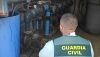 Detenido en El Ejido por simular un robo para estafar a la aseguradora