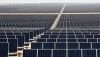 La Coordinadora Ecologista Almeriense pide regular los parques fotovoltaicos