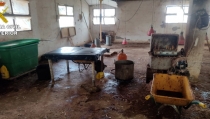 Descubren un matadero de aves que funcionaba sin licencia en Zurgena