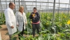 Andaluc&iacute;a destina 130 millones a fomentar el relevo generacional en el campo