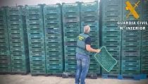 Dos detenidos por robar 500 cajas de productos hortofrut&iacute;colas en Pechina