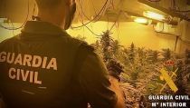 Descubren un cultivo 'indoor' de marihuana con 177 plantas en Roquetas de Mar