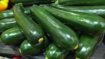 La campa&ntilde;a hort&iacute;cola se desarrolla con buenas cotizaciones en la mayor&iacute;a de productos