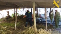 Detienen al responsable de un secadero con 1.290 plantas de marihuana en G&eacute;rgal