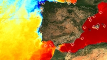 La temperatura del agua en Cabo de Gata alcanza su m&aacute;ximo hist&oacute;rico