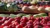 La UAL estrena un curso de especialista en asesor&iacute;a a cooperativas agroalimentarias