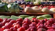 La UAL estrena un curso de especialista en asesor&iacute;a a cooperativas agroalimentarias