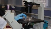 Andaluc&iacute;a destina 15,36 millones a ayudas para la contrataci&oacute;n y formaci&oacute;n de investigadores