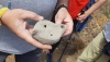 Presentan los resultados de la primera excavaci&oacute;n en el Cabezo Mar&iacute;a de Antas